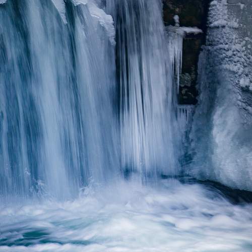 Photo #12963889