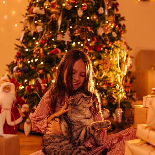 Photo #12963900