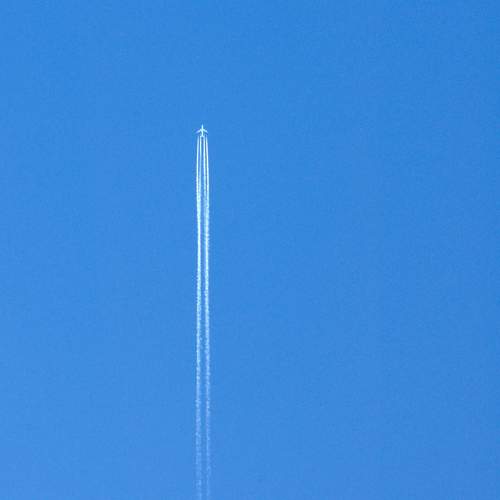 Photo #12963910