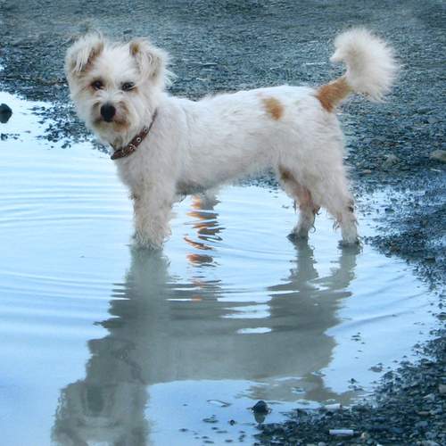 Photo #12964312