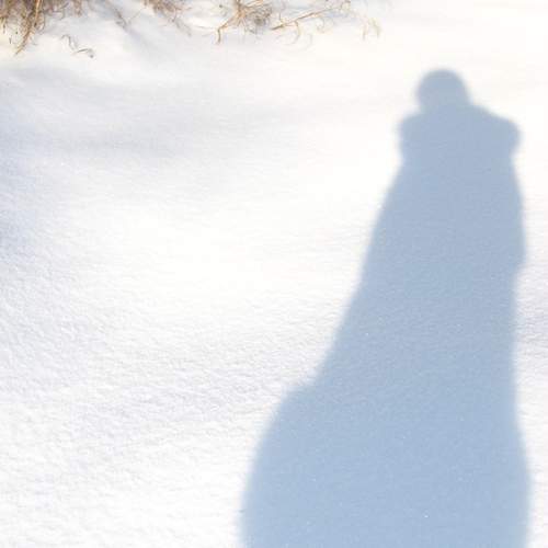 Photo #12964446
