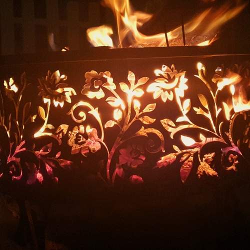 Photo #12964628