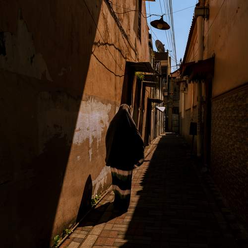 Photo #12964631