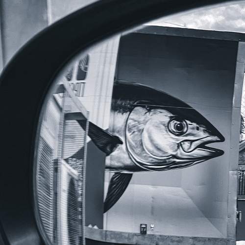 Photo #12964672