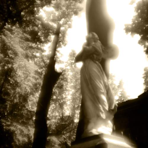 Photo #12964919