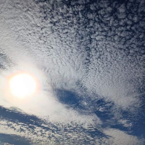 Photo #12964947