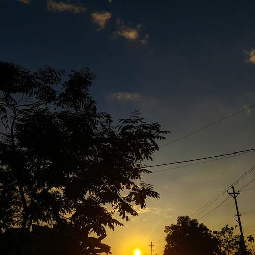 Photo #12964962