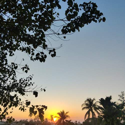 Photo #12964986