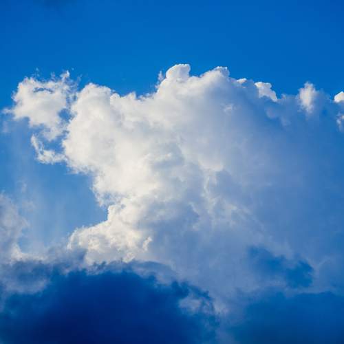 Photo #12964989