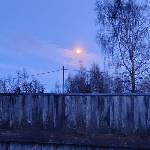 Photo #12965082