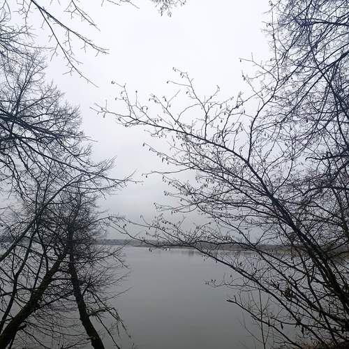 Photo #12965113