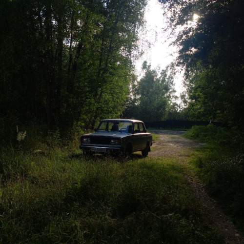 Photo #12965183