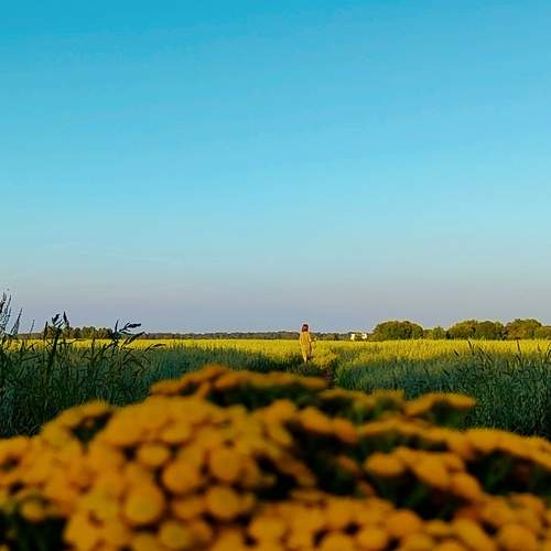 Photo #12965231