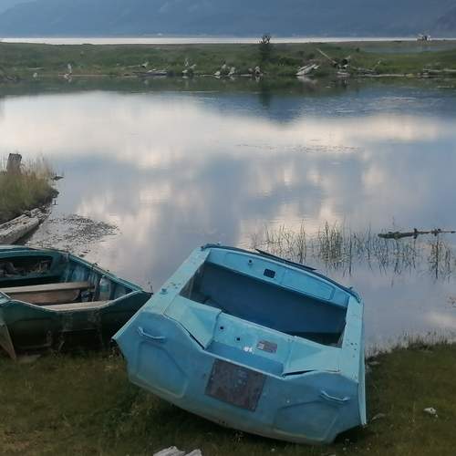 Photo #12965319