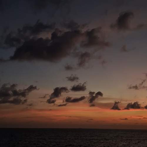 Photo #12965473