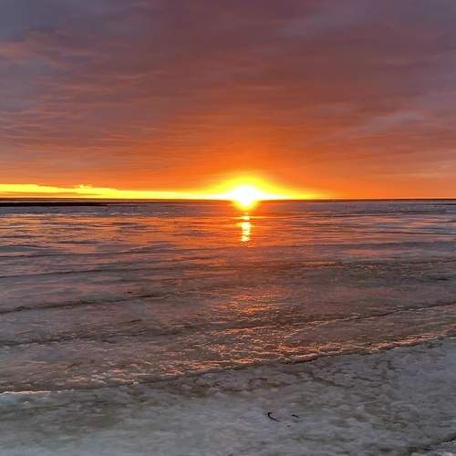 Photo #12965513