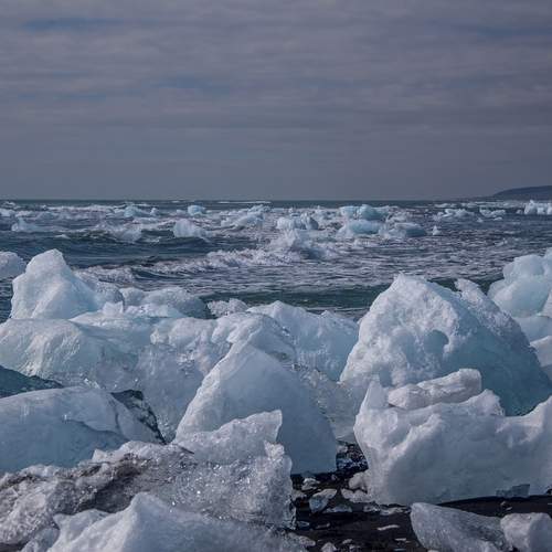 Photo #12965530