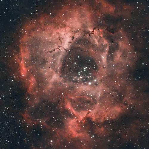 Фотография #12965751