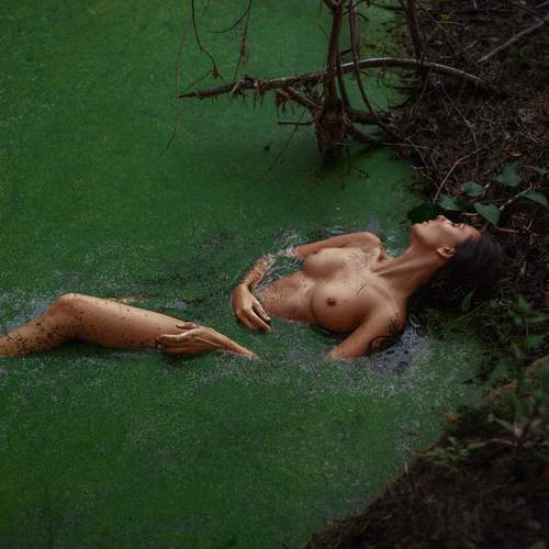 Photo #12965770