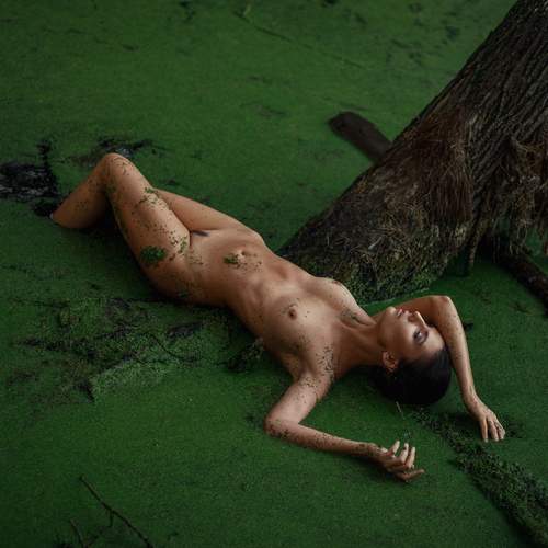 Photo #12965772