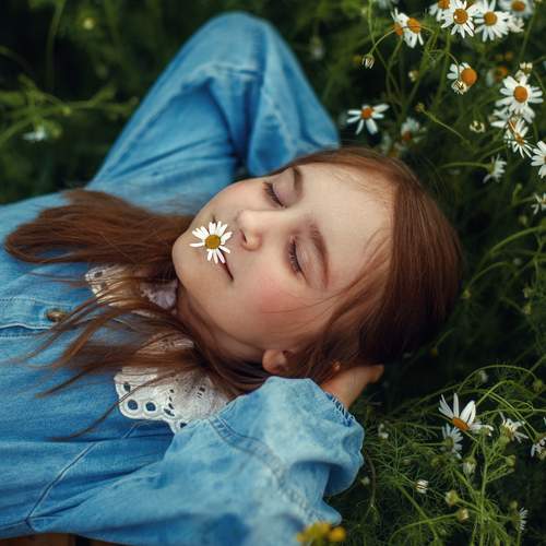 Photo #12965813