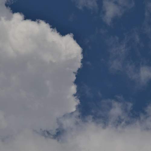 Photo #12965845