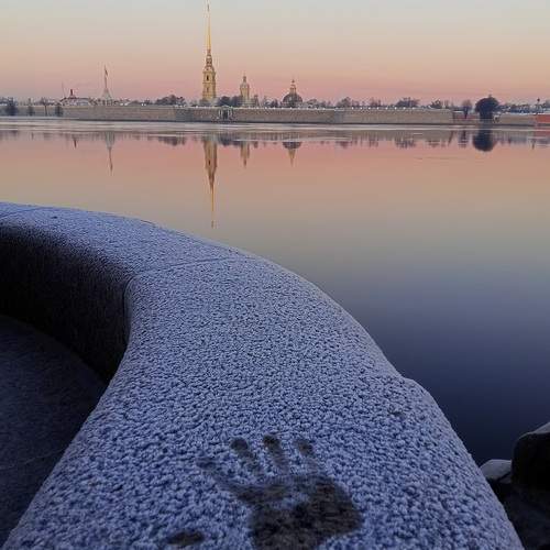 Photo #12965989