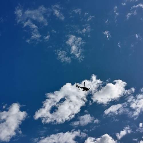 Photo #12966285