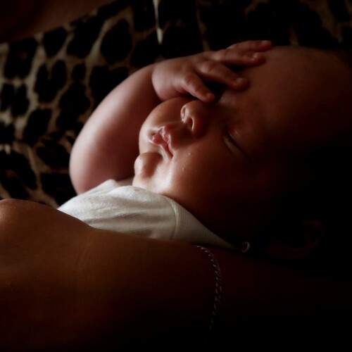 Photo #12966485
