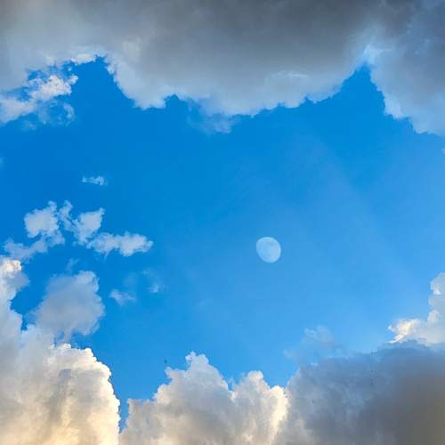 Photo #12966505
