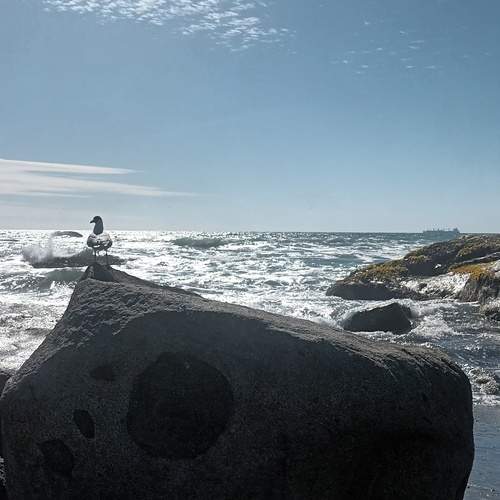 Photo #12966776