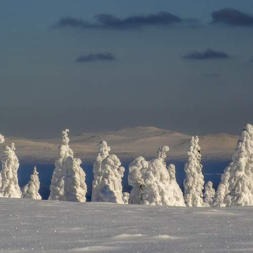 Фотография #12966813