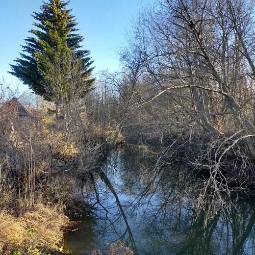 Photo #12966827