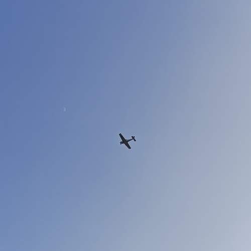 Photo #12966842