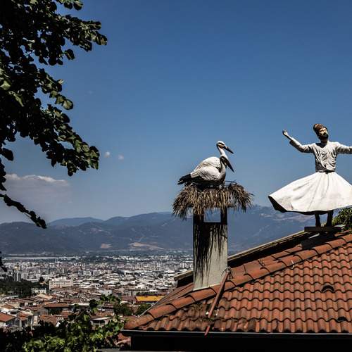 Фотография #12966867