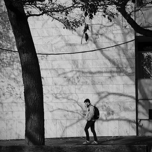 Photo #12967005