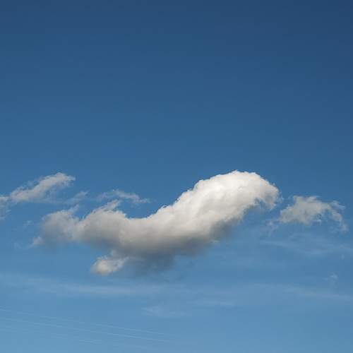 Photo #12967203