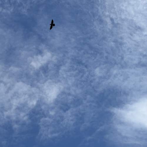Photo #12967359
