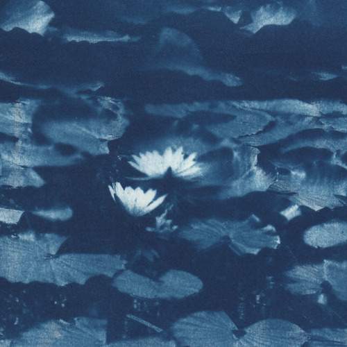 Photo #12967509