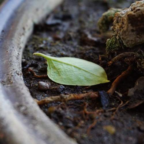 Photo #12967676