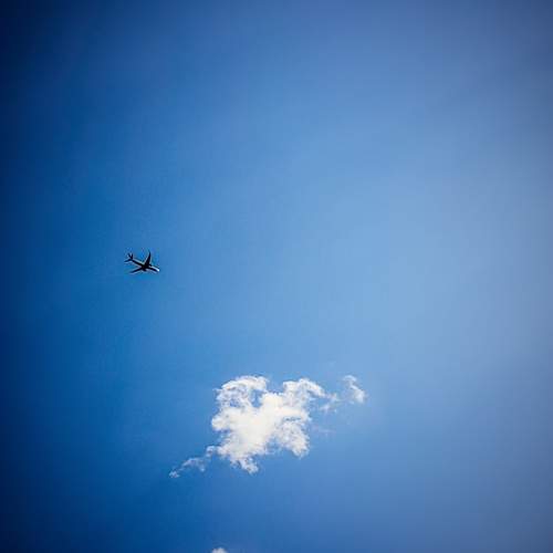 Photo #12967785