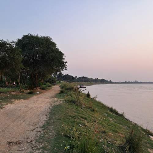 Photo #12967842