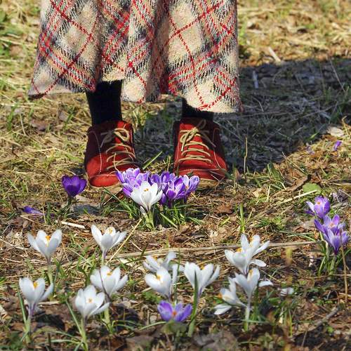 Photo #12967938