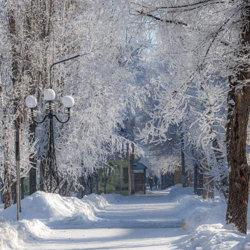 Белая улица