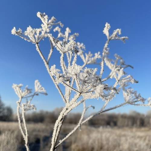 Photo #12968016