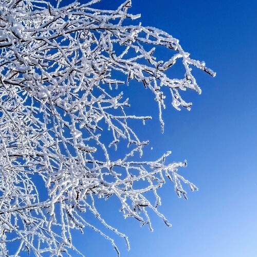 Photo #12968554
