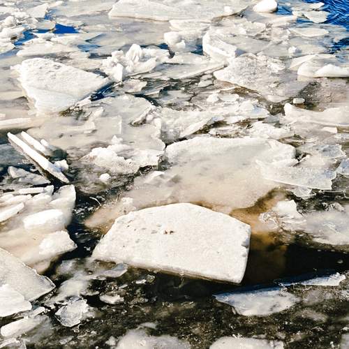Photo #12968597