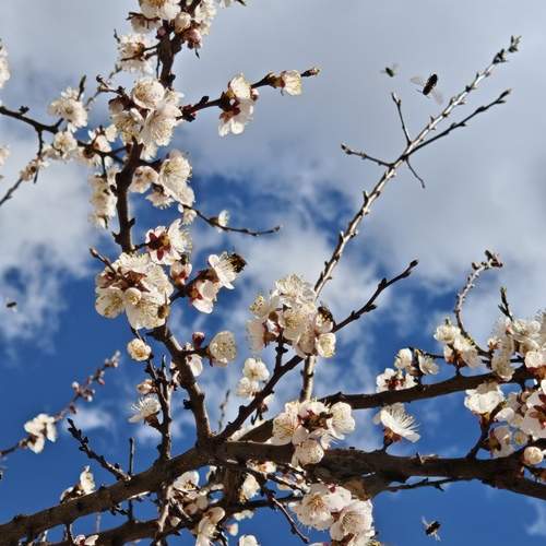 Photo #12968598