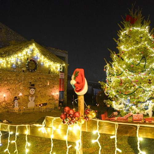 Photo #12968882
