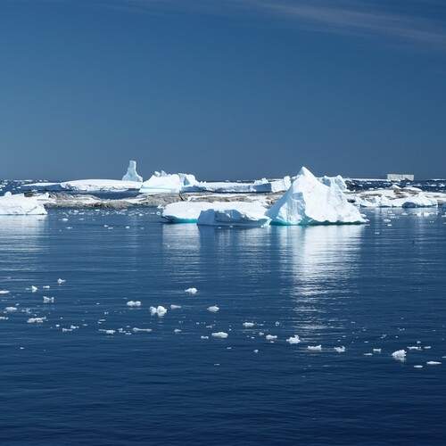 Photo #12968897